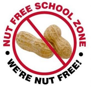 Nut-free school icon